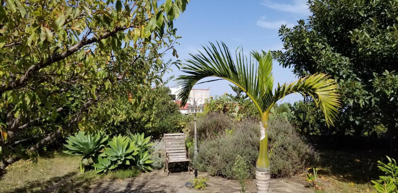 イコー・デ・ロス・ビノスLa Casita De La Vegaアパートメント エクステリア 写真