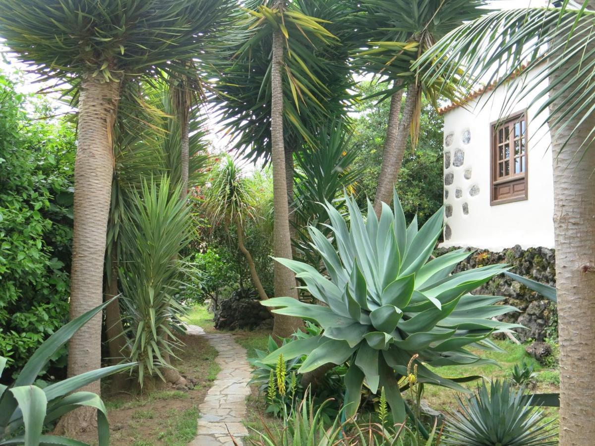 イコー・デ・ロス・ビノスLa Casita De La Vegaアパートメント エクステリア 写真