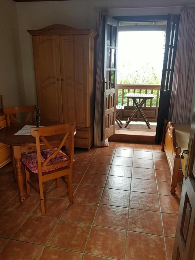 イコー・デ・ロス・ビノスLa Casita De La Vegaアパートメント エクステリア 写真
