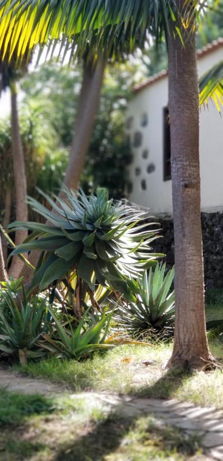 イコー・デ・ロス・ビノスLa Casita De La Vegaアパートメント エクステリア 写真