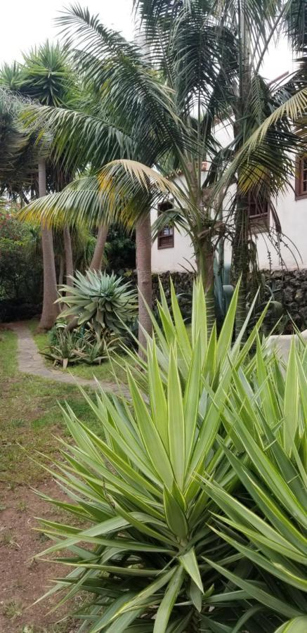 イコー・デ・ロス・ビノスLa Casita De La Vegaアパートメント エクステリア 写真