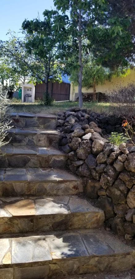 イコー・デ・ロス・ビノスLa Casita De La Vegaアパートメント エクステリア 写真