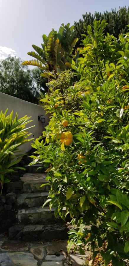イコー・デ・ロス・ビノスLa Casita De La Vegaアパートメント エクステリア 写真