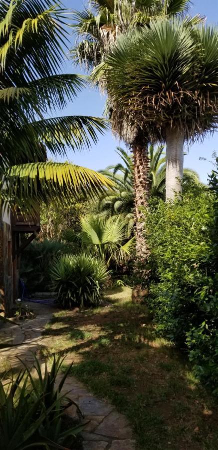 イコー・デ・ロス・ビノスLa Casita De La Vegaアパートメント エクステリア 写真