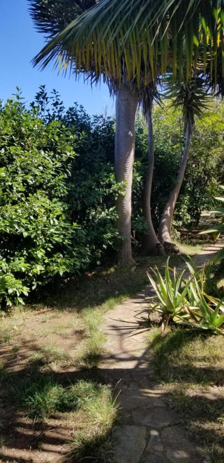 イコー・デ・ロス・ビノスLa Casita De La Vegaアパートメント エクステリア 写真